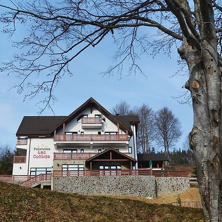 Pensiunea Lac Colibiţa Esterno foto