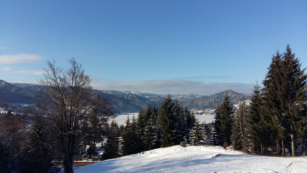 Pensiunea Lac Colibiţa Esterno foto